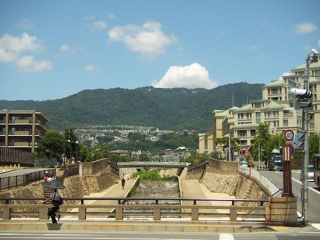 【周辺】住吉川は散歩コースに最適ですね。