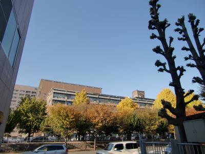 【周辺】熊本大学病院（400m）