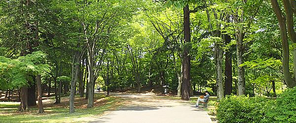 【周辺】休日に家族とお出かけ。府中の森公園でお子さまとお散歩、ワンちゃんとのお散歩やジョギングなども出来る嬉しい公園です。