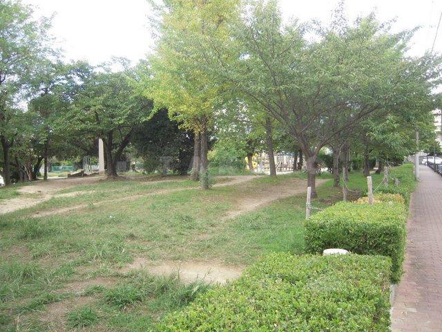 【周辺】公園「大曽公園」緑豊かな公園です。