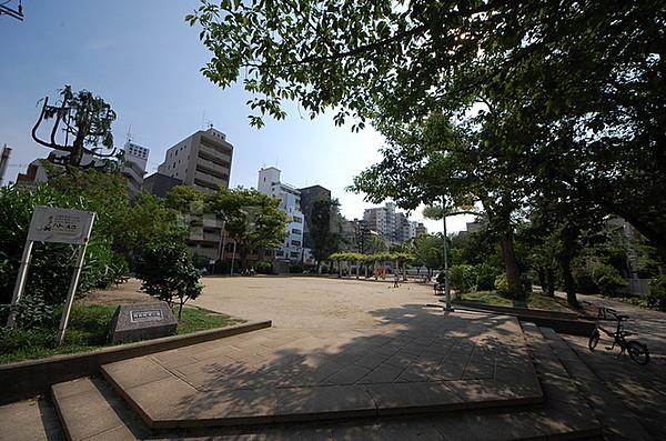 【周辺】公園「堀江公園」春は、桜の綺麗な公園です。
