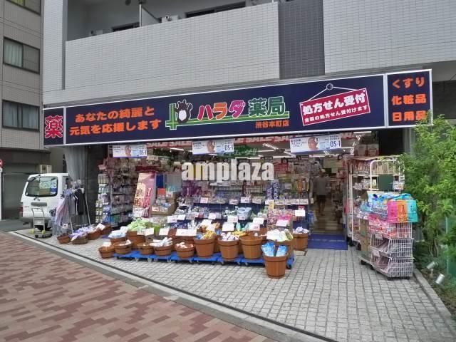 【周辺】ハラダ薬局渋谷本町店