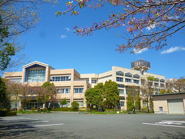 【周辺】八王子市立松木中学校（520m）