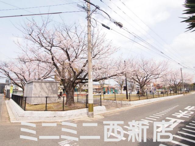 【周辺】近くに桜の綺麗な公園があります