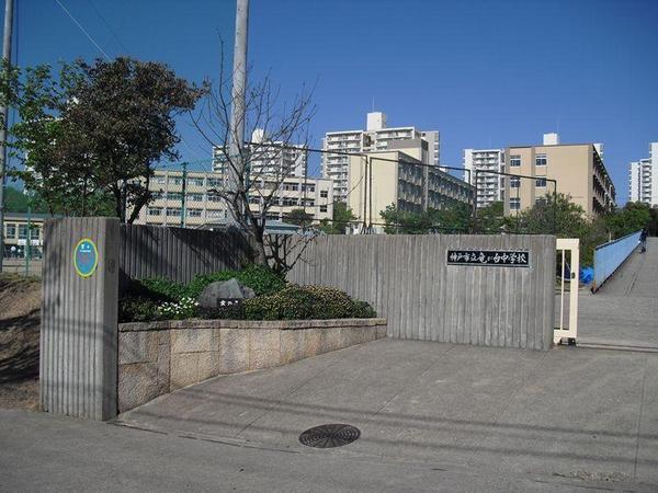 【周辺】神戸市立竜が台中学校（529m）