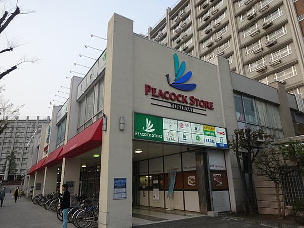 【周辺】ピーコックストア洋光台店 892m