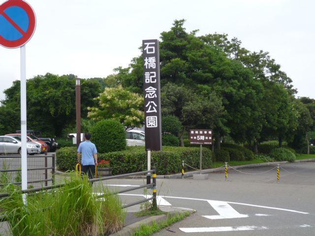 【周辺】石橋記念公園