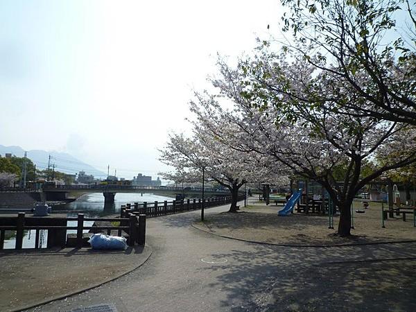 【周辺】甲突川沿公園