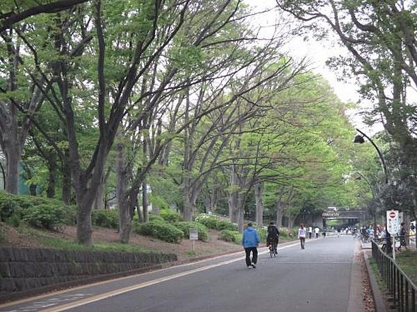 【周辺】公園駒沢オリンピック公園 中央広場まで1718ｍ