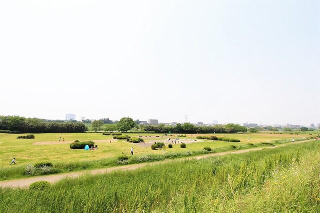 【周辺】多摩川の河川敷がまるでお庭のように利用できます。毎日のジョギング。お子様とのキャッチボール。ペットのお散歩。夕日の綺麗な景色です。