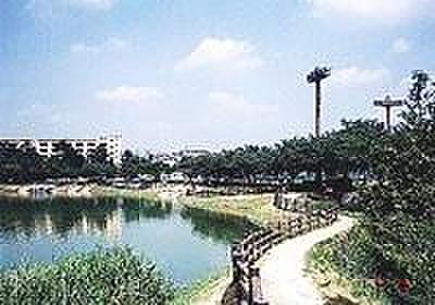 【周辺】新海池公園、小さいお子様が生まれても、散歩がてら行ける広めの公園になります。