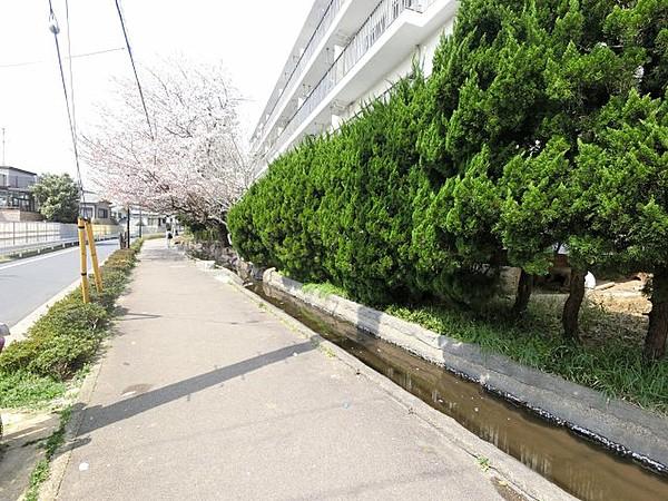 【外観】敷地には大きな桜が咲いており、マンションの雰囲気をより一層引き立ててくれます。