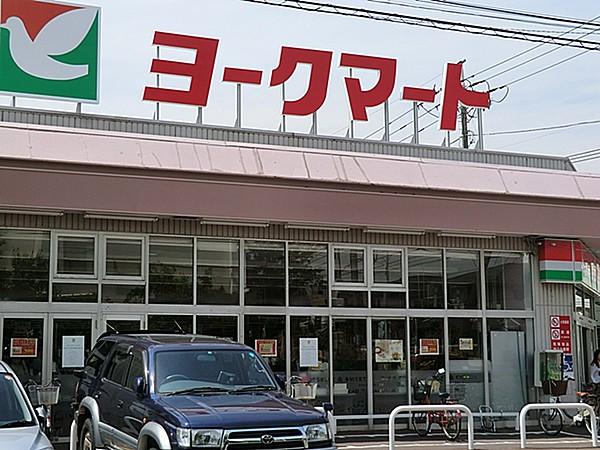 【周辺】ヨークマート大倉山店（390m）