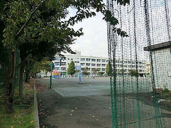 【周辺】横浜市立大綱小学校（345m）