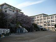 【周辺】小学校川西市立 桜が丘小学校まで556ｍ