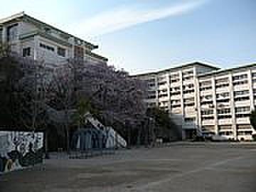 【周辺】小学校川西市立 桜が丘小学校まで1271ｍ