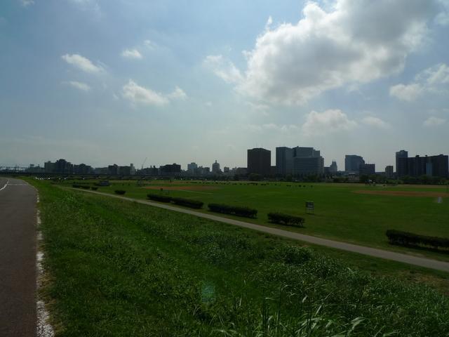 【周辺】多摩川六郷橋緑地 500m