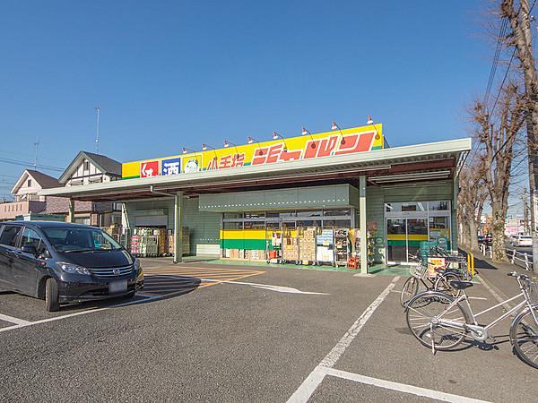 【周辺】ジャパン小手指店 (約320M)