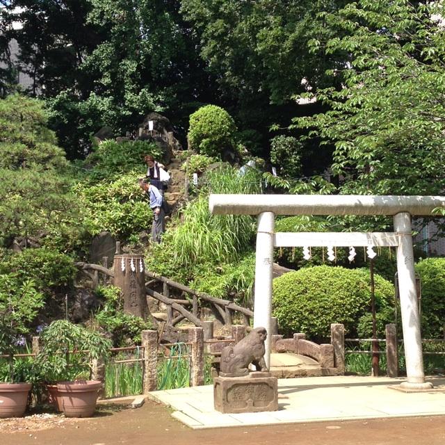 【周辺】寺院・神社 鳩の森神社まで1092ｍ