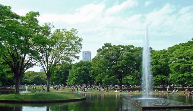 【周辺】公園「東京都立代々木公園」言わずと知れた「代々木公園」。散策だけでもいいのですが、フリーマーケットや食のイベントも多く開催されており、観光地と言っても過言ではありません