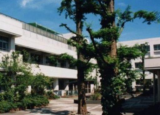 【周辺】横浜市立秋葉中学校