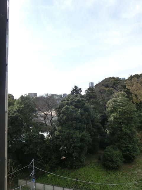 【周辺】窓から「護国寺」の木々が望めます。