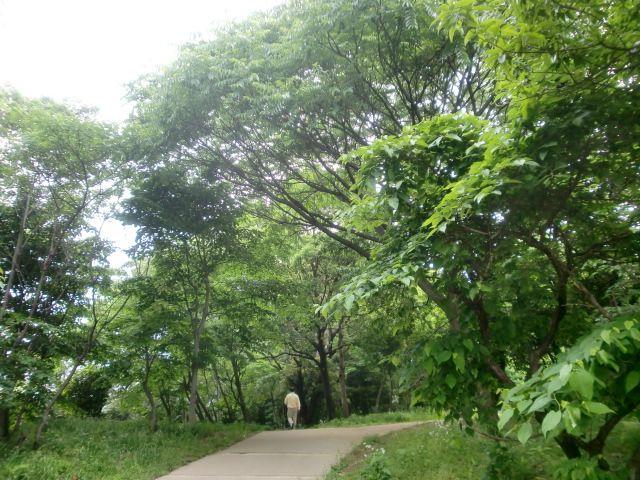 【周辺】江古田の森公園