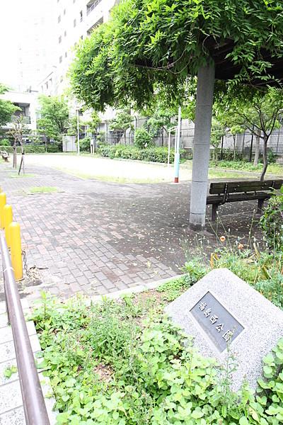 【周辺】物件の目の前に福島西公園があります。徒歩5分の下福島公園はジョギングにぴったりな歩道や広いグラウンド、遊具もあります。