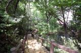 【周辺】滝の根公園（343m）