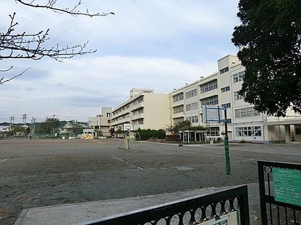 【周辺】小学校横浜市立八景小学校まで257ｍ