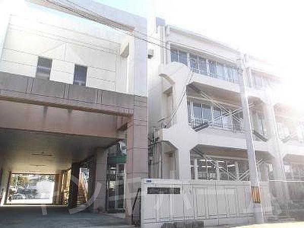 【周辺】横浜小学校