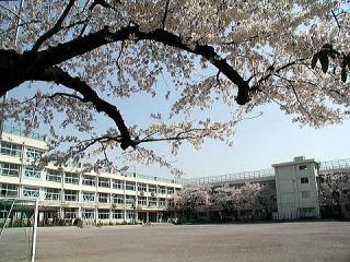 【周辺】練馬区立石神井中学校（630m）