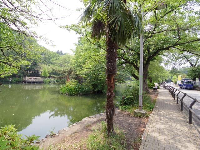 【周辺】公園東京都立石神井公園まで379ｍ