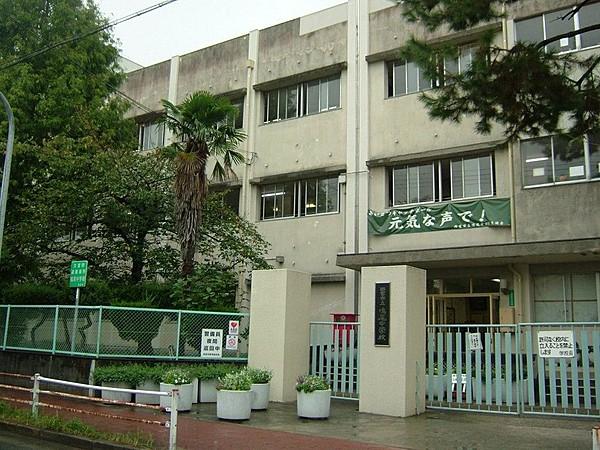 【周辺】中学校西宮市立鳴尾中学校まで593ｍ