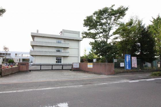 【周辺】仙台市立田子小学校までの距離300m