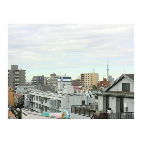 【周辺】西側（5F）眺望です。な、なんと東京スカ