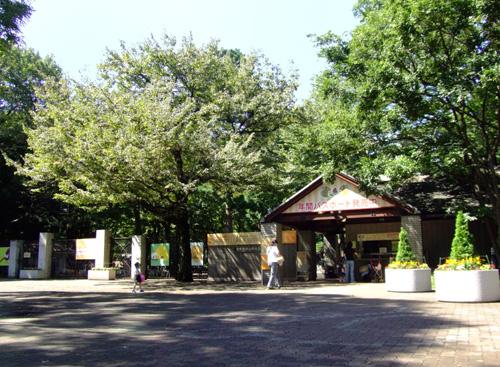 【周辺】動物園井の頭自然文化園まで447ｍ