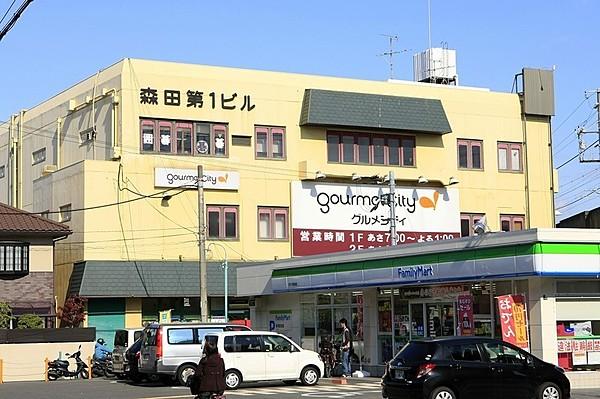 【周辺】グルメシティ忍ヶ丘店　四條畷市岡山3-1-7　ダイエーグループのスーパーマーケットです　原則・食品・酒を含むと日用品に特化した形態です