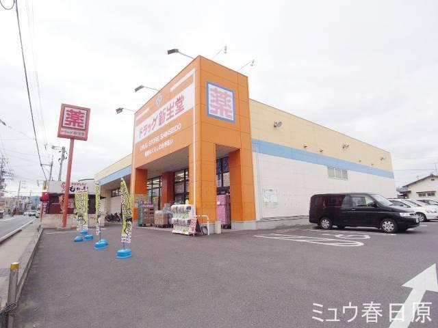 【周辺】ドラッグ新生堂昇町店 675m