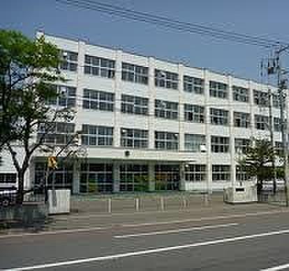 【周辺】札幌市立白楊小学校まで326ｍ