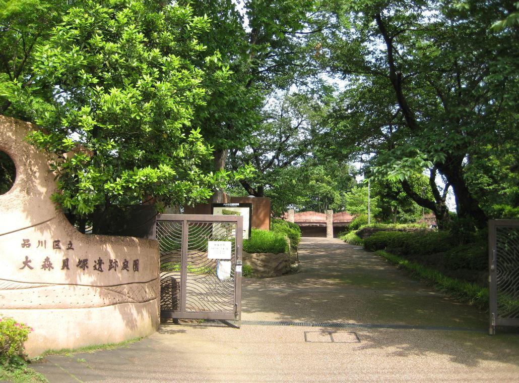 【周辺】公園大森貝塚遺跡庭園まで797ｍ