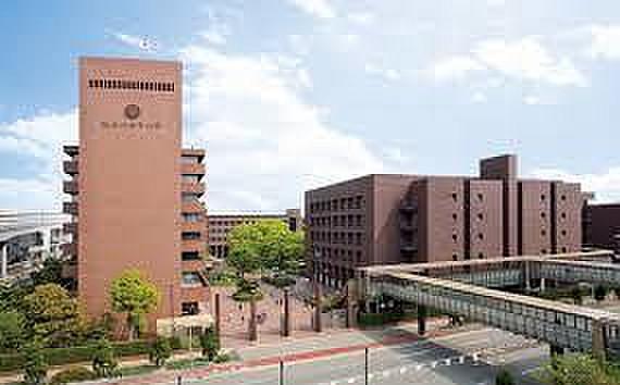 【周辺】大学院武庫川学院まで3844ｍ