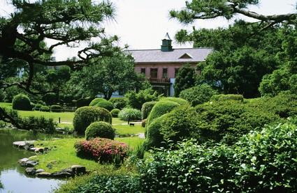 【周辺】その他東京大学附属植物園まで1108ｍ