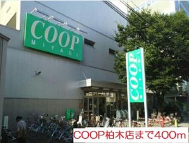 【周辺】COOP　MIYAGI柏木店 656m
