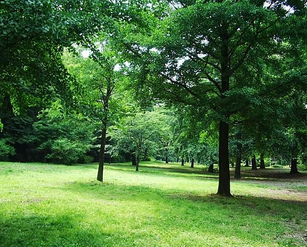 【周辺】緑豊かな赤塚公園。運動したり、お散歩したり思い思いの過ごし方を。