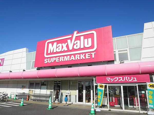 【周辺】スーパーマックスバリュ辰巳台店まで484ｍ