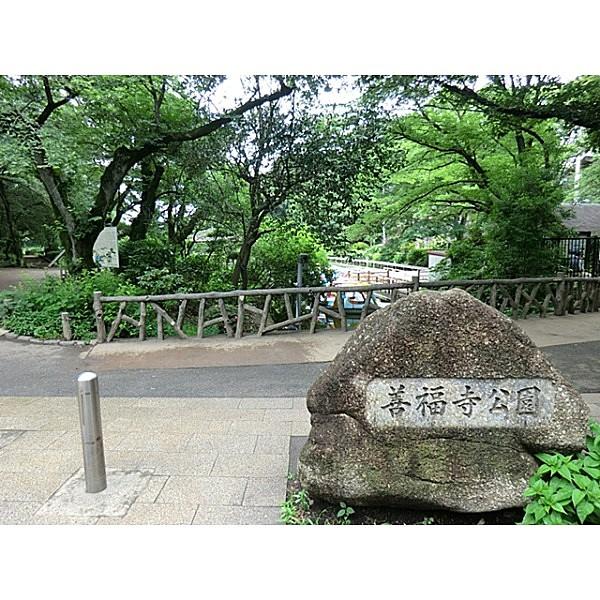 【周辺】善福寺公園