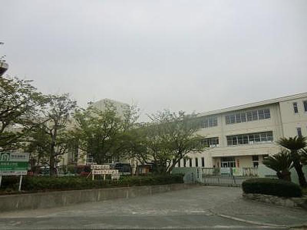 【周辺】福津市立神興小学校（748m）