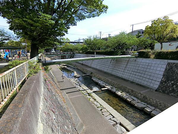 【周辺】敷地の近くを流れる都賀川。散歩コースにされている方も多く、憩いの場となっています。