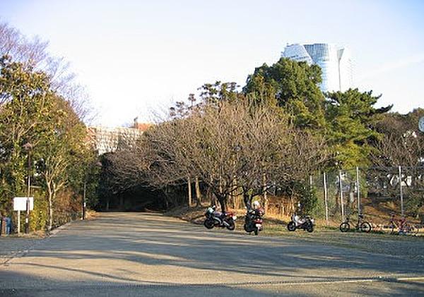 【周辺】公園東京都立青山公園南地区まで724ｍ